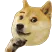 doge_THONK