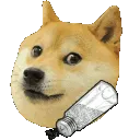doge_salty