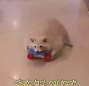 SkateFastEatTrash
