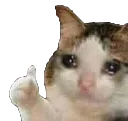 ok
