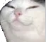 Smugcat