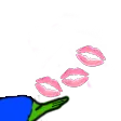NTC_pepegivekissi Discord Emoji