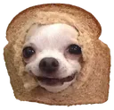 BreadDog