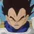 VegetaPain