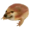 mittwomch mittwomch