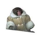 IKEA_Monkey IKEA_Monkey