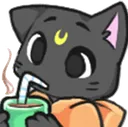 sipp