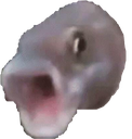 fishpog