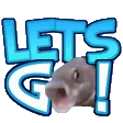 LETSGOOO LETSGOOO