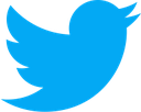 twitter Discord emoji