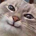 PCbrand Discord emoji