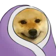 doge_comfy Discord Emoji