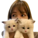 lisacats Discord Emoji