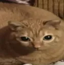 fuck_you