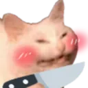 KnifeCat
