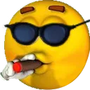 siggycool