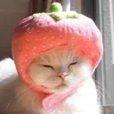 kittystrawb Discord Emoji