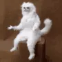 VL_bruhwhat