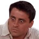 RealizingDelayedJoey