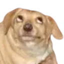 emoji_8