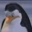 sed