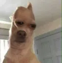 ookay ookay