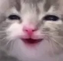 giggity