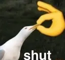 H_shut