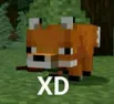 XDD XDD