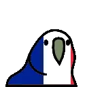 franceparrot