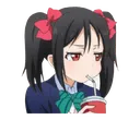 nico_sip