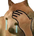 OhNoopis