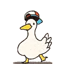 duckdance