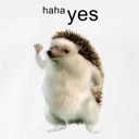 Hahayes hahayes Discord Emoji