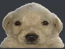 gekyume