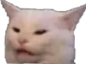 whatcat