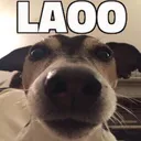 laoo