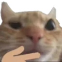 swagcat_think