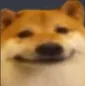 doge