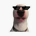 MLGWalter