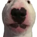 Walter Walter