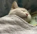 tired tired
