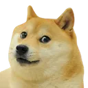 Doge