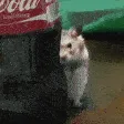 imwatchingyou