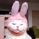 kittypinkbunny Discord Emoji