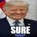 sure Discord emoji