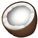 coconut2