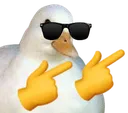 isForCool isForCool