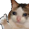 ThumbsUp ThumbsUp