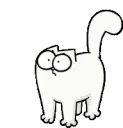 a_MEOW